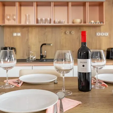 Swan In The Buda Castle Area 2br/balcony Апартаменты